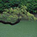 요산요수 이미지