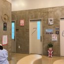 신촌로 110 웨스턴동물의료센터 신촌역 5번출구 | 서울 신촌역 24시 동물병원 &lt;웨스턴 동물의료센터&gt; , 반려견 반려묘 건강검진, 응급센터