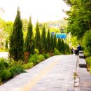 수원-1180 이미지