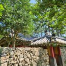 나무이야기 이미지