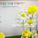 대창초등학교병설유치원 이미지