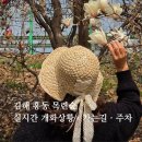 시에게 가는 길 | 김해 흥동 목련숲 개화상황·가는길·주차 | 김해 목련 실시간 후기