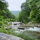 리즈밸리 이미지