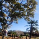 삼달교차로 3 이미지