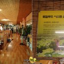 시골푸드 이미지