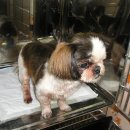 난곡동-28 이미지