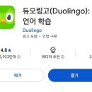 365일 | 듀오링고 365일 성공 후기 / 초4 아들과 영어습관 만들기