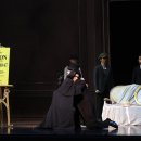 카멜리아 이미지