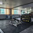 DM헬스클럽 이미지