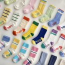 (마감) 국민양말! 폴프랜즈 26년 S/S (올해 첫 신상) 공구 OPEN!