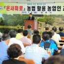 온새미로 이미지