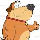 누가온누리약국 이미지