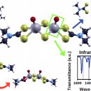 메이트디 이미지