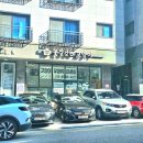 꽃길 걷는 고양이 이미지