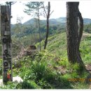 묘도민박 이미지