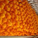 장창수농장 이미지