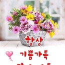 풍창부부인조씨묘 | 창경궁의 만추(滿秋)와 만추(晩秋)