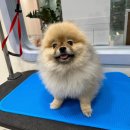 Mong's(몽'스) 이미지