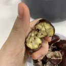 설봉복싱 | 꾸준히 떠드는 자