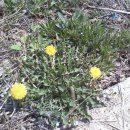 이환농장 이미지