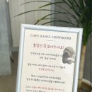 하비쇼룸