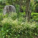 해찬민박 이미지