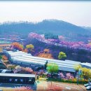 군포로 이미지