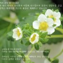 금당농장 이미지