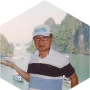 조성면행정사 티스토리