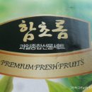 함초롬 이미지