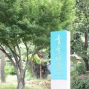 금빛유치원 이미지