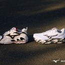 미즈노 - 화성시 삼천병마로 1047-4 | 미즈노