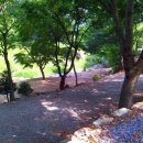 한반도농업협동조합(주유소) 이미지