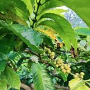 세풍농장 이미지