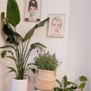 에쏠공인중개사사무소 이미지