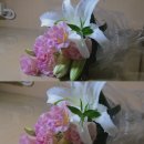 99 | 루믹스 TZ99 반년 사용 후기 •*¨*•.¸¸♪