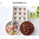 [백일파티] 백일상 대여 업체, 백일떡, 내돈내산