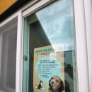 제주오름동물병원 이미지