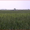 순천만여행 이미지