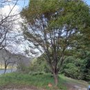 구산면586 이미지