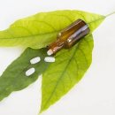 성모소아청소년과의원 이미지