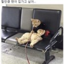 준요네집 | 한창먹을나이 34살 입니다