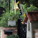 고려 유치원 이미지