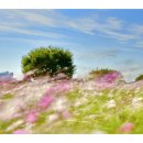 바람불어 좋은날 이미지