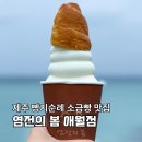 염전의봄애월점