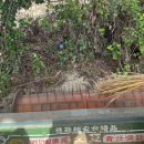 청정학곡마을 이미지