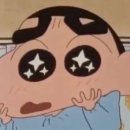 정보없음 이미지