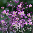 만1세 어린이집 3월 하루일상,만1세 어린이집 3월 적응기간,만1세 어린이집 봄 등원 첫걸음 이미지