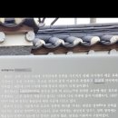 원도심 은행나무 이미지