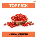 탑마트 티스토리